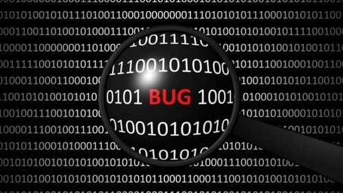 Bug Hunter